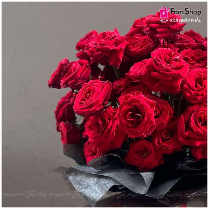 Bó hoa hồng Ecuador màu đỏ BHHD50B