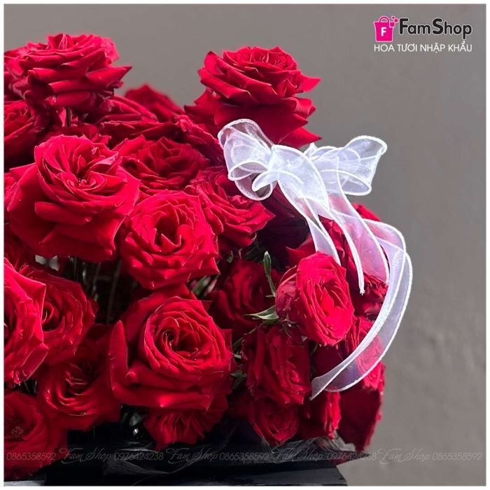 Bó hoa hồng Ecuador màu đỏ BHHD50B