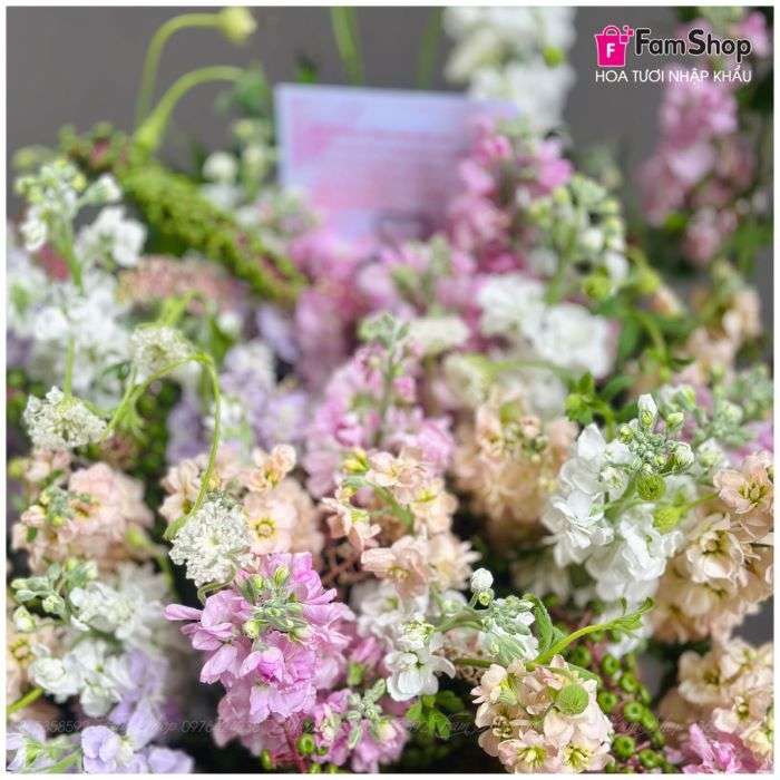 Giỏ hoa phi yến hồng tím trắng GHPYHTT