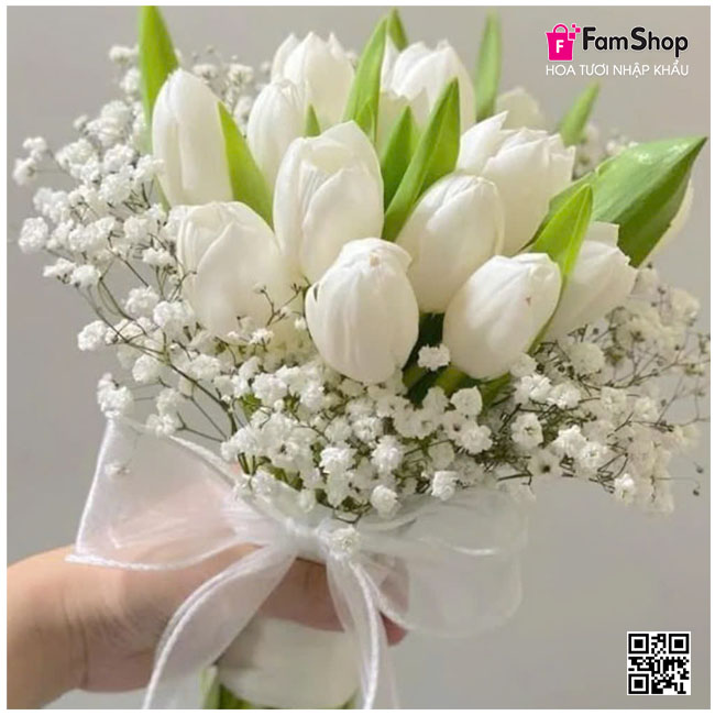 Bó hoa baby trắng kết hợp tulip