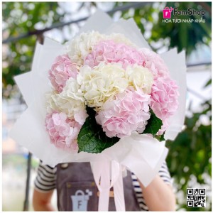 Bó hoa cẩm tú cầu trắng hồng 10 bông BHCTC10
