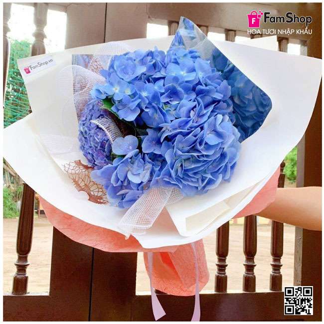 Bó hoa cẩm tú cầu xanh Bó hoa cẩm tú cầu xanh