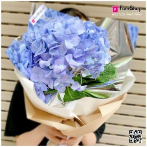 Bó hoa cẩm tú cầu xanh dương BTCXD1B