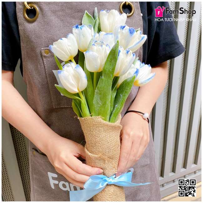 Bó hoa tulip trắng viền xanh
