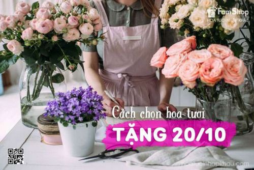 Bí quyết chọn hoa tươi ngày 20-10 giúp bạn ghi điểm tuyệt đối