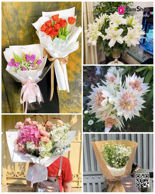 Cửa hàng hoa tươi nhập khẩu tại Hà Nội Cửa hàng hoa tươi nhập khẩu tại Hà Nội