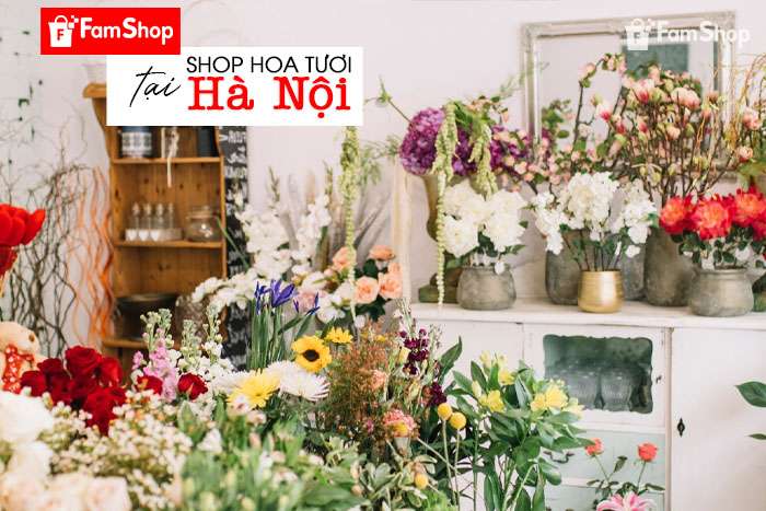 Địa chỉ shop hoa tươi tại Hà Nội Địa chỉ shop hoa tươi tại Hà Nội