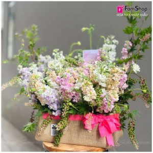 Giỏ hoa phi yến hồng tím trắng GHPYHTT