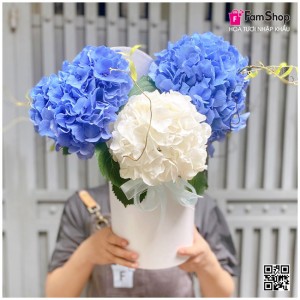 Lẵng hoa cẩm tú cầu trắng xanh