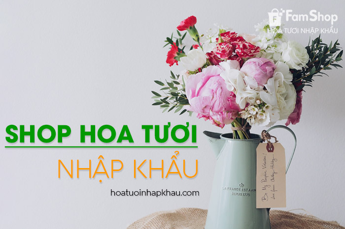 Shop hoa tươi nhập khẩu
