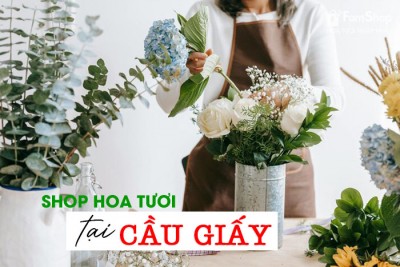 Shop hoa tươi Cầu Giấy